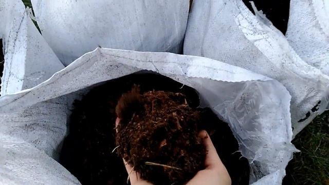 Закладываем новую плантацию голубики.Часть 1 # We are laying a new blueberry plantation. Part 1 смотреть онлайн