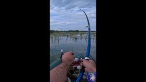 Рыбачу на лодке. #Shorts