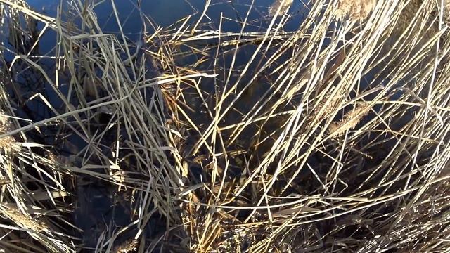 РЫБАЛКА НА КИВОК БОКОВОЙ,ДУШУ РОТАНА!Весенняя ловля! смотреть онлайн