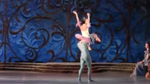 Па де де Голубой птицы и Принцессы Флорины.
