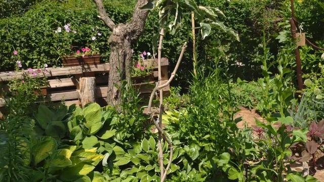 Выпуск 67. Толкунчики. Полезные насекомые. смотреть онлайн