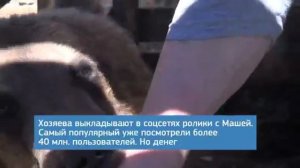 Саратовская семья приютила медведицу Машу с Кавказа