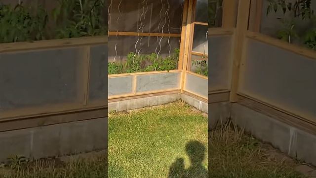 Ветер,град,ливень-все в одном!?Последствия урагана. смотреть онлайн