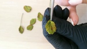 Листья земляники из полимерной глины