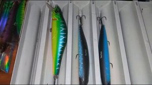 просматриваю воблеры!