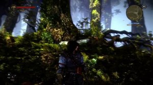 The Witcher 2 Ультра, Запредельное качество.