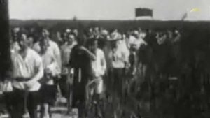 Сергей Есенин - Иорданская голубица