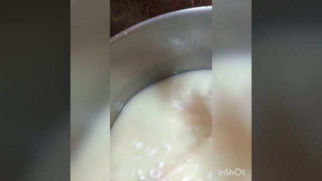 Сыр моцарелла из козьего молока
