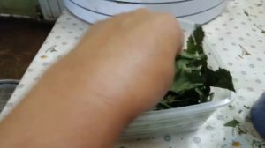 Приправа из сушёных листьев  хрена
