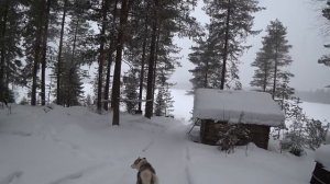 ?С Батей на Кордон.Пять Дней в Лесу.Рыбалка на Лесных Озёрах.Часть1