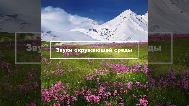 Звуки Природы Онлайн