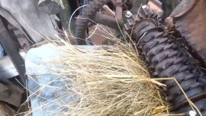 Соломорезка