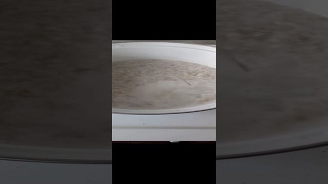 Готовлю овсяную кашу: фрагменты варки