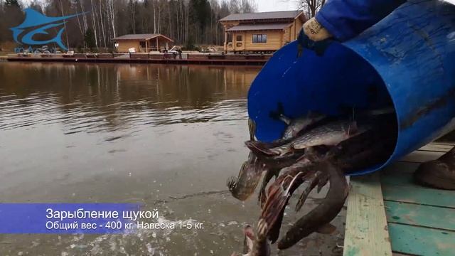 Зарыбление щукой. Рыболовный клуб Марлин. Рыбалка смотреть онлайн