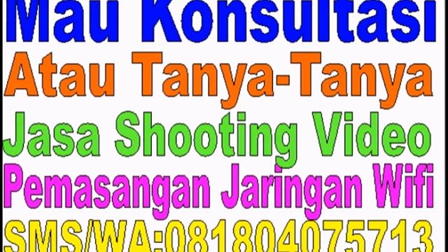 Pkl TKJ | PKL MM | PKL TAV смотреть онлайн