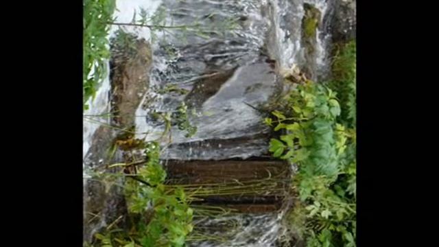 Цветет калина во дворе смотреть онлайн