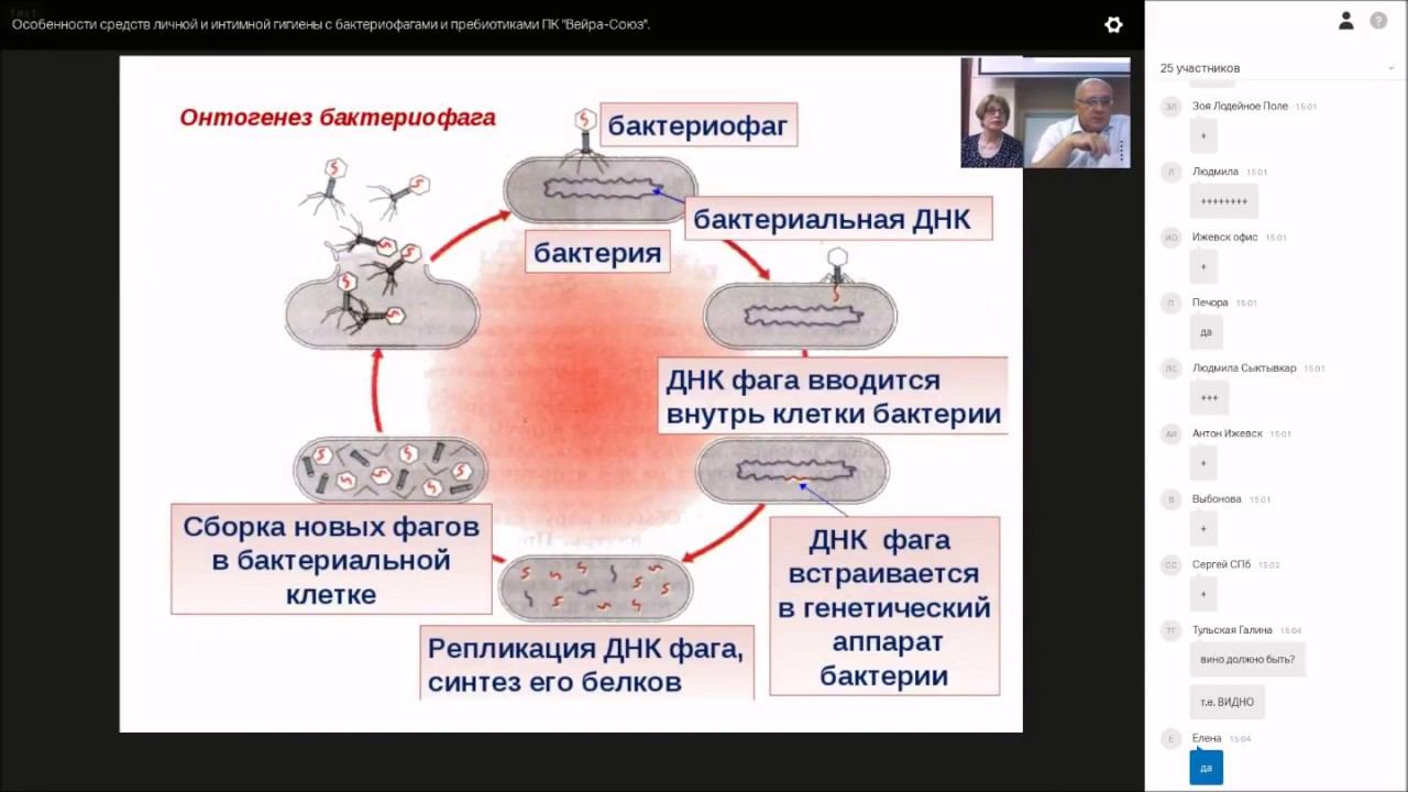 Вебинар с С.К. Панюшиным на тему Особенности средств с бактериофагами