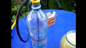 Чем обработать? ДОЛГОНОСИК НА КЛУБНИКЕ. Обработка раствором горчичного порошка. Результат