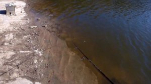 Рыбалка в Тверской области 1. Платник у Иваныча