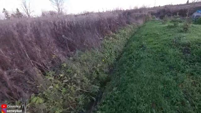 Свой пруд на даче. Готовим пруд к зиме. Температура и анализ воды в пруду. Пруд для рыбы на участке