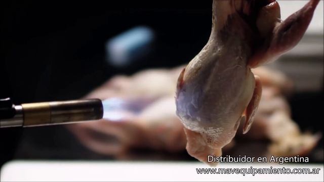 MAV Hornos Convectores UNOX en Argentina, Hornos para Gastronomía Profesional смотреть онлайн