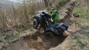 Kawasaki Brute Force 650