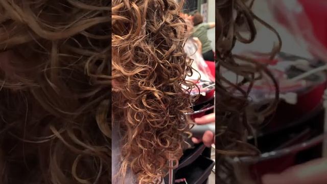 Укладка кудрей на диффузор #curl #curlyhair #curl #биозавивкаволос #биозавивка #завивкаволос #кудри