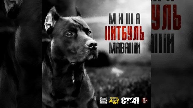 Бегал волк, да в лес глядел