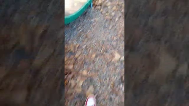 тЕгАеМ ТЕКСТОВЫДЕЛИТЕЛЕМ