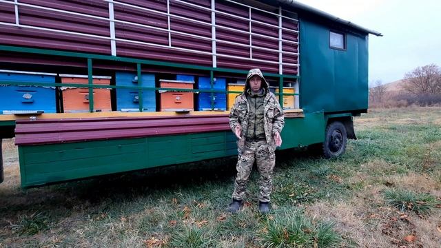 Изоляция маток,кто за? кто против! смотреть онлайн