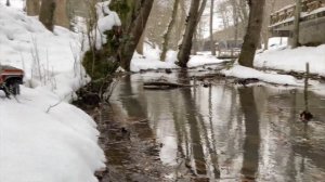 Traxxas TRX4 Bronco 1979 SNOWY FOREST Run