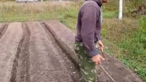 Делаем насыпные грядки,высаживаем клубнику, накрываем погреб.