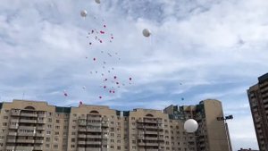 Алиса идёт первый раз в первый класс