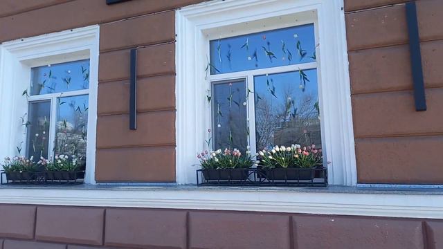К 8-му Марта 2024 года на подоконниках вазоны и висят тюльпаны на ниточках на 1 этаже гос. Караганд смотреть онлайн