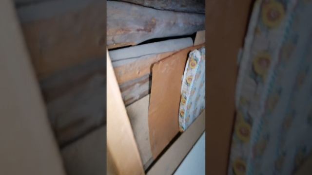 прятки