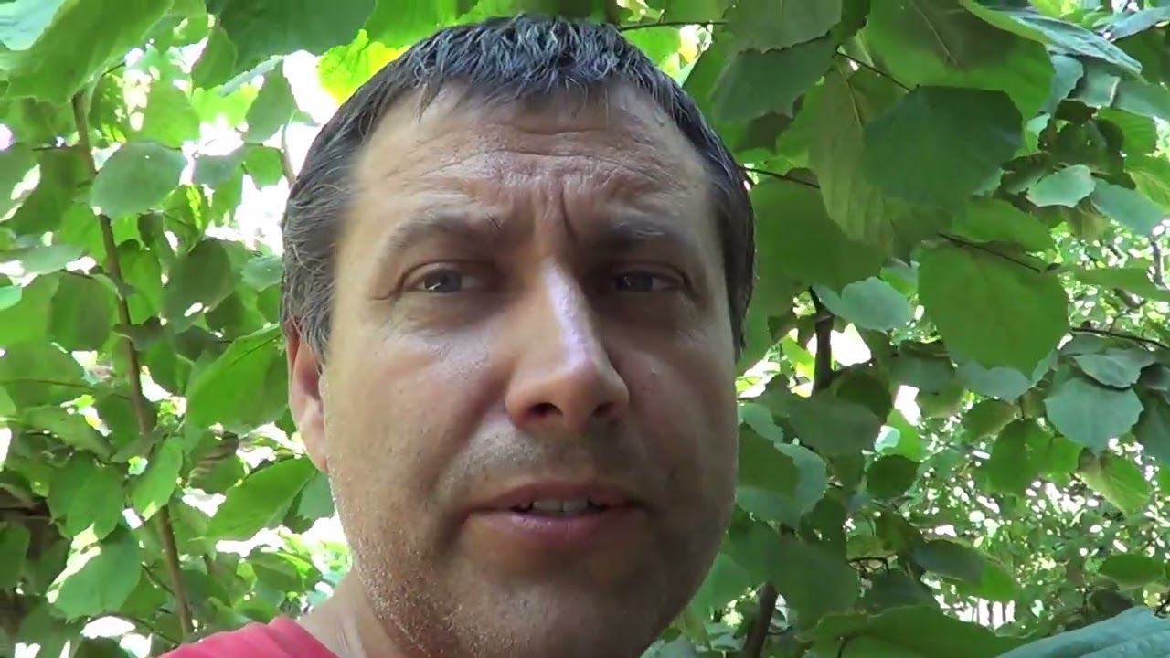 КАК ФУНТИК / ПРИОДЕЛИ КОТА / ТОМАТНАЯ ПАСТА СВОИМИ РУКАМИ смотреть онлайн