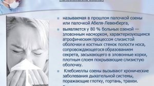 Клебсиеллы