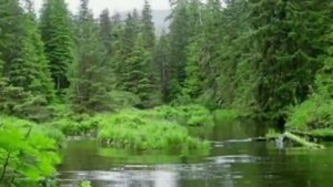 Рустам Асадуллин.Яшьлегем.