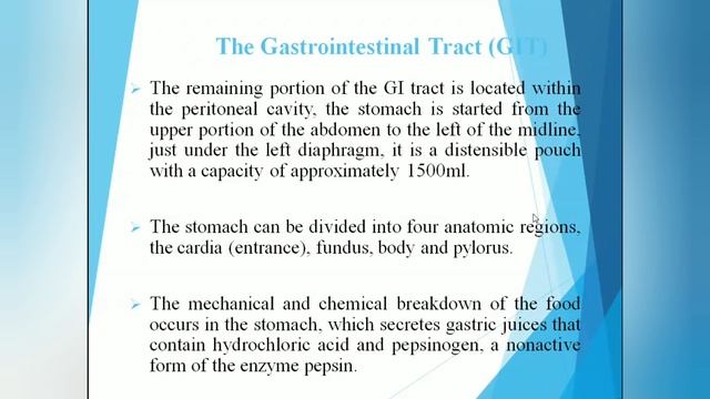 Easy way to understand Gastrointestinal system (GIT) смотреть онлайн