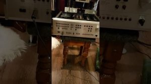 Ремонт MC фонокорректора Accuphase C-240