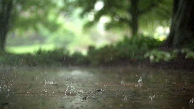 Священный Коран - сура Ар- Рахман