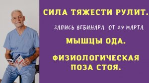 Запись вебинара от 29.03.2022 г. Влияние силы тяжести и взаимодействие. Физиологическая поза стоя.