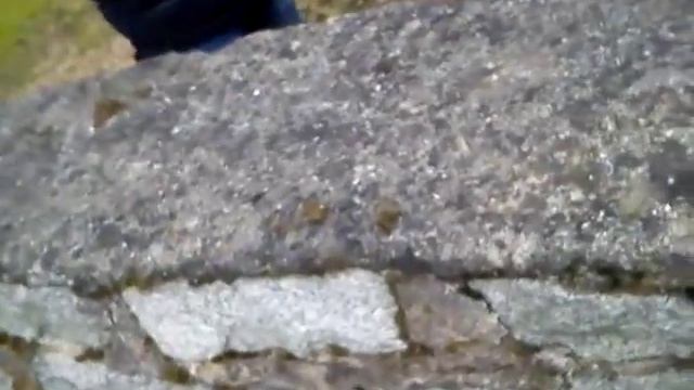 Приколи польша смотреть онлайн