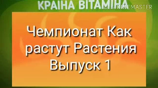 Чемпионат Как растут Растения. Выпуск 1 [17.03.2018 г.]