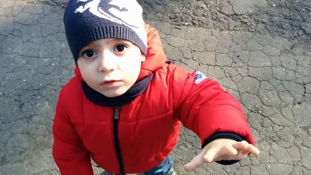 Одесский зоопарк весна 2015 смотреть онлайн