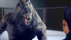 "ВЕДЬМИНА ПАДЬ"  9 серия (автор Светлана Гончаренко). Мистика. Истории на ночь.