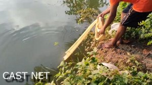 кастинговая сеть! рыбалка на дороге! куча рыбы на кастинговую сеть! лучшие забросы рыболовов! супер