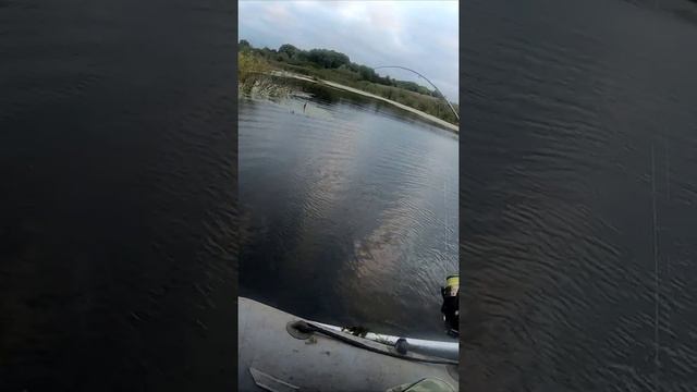 щука на утку с алиэкспресс, смотреть онлайн