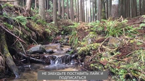 А разве мамы бросают своих детей?...ИСТОРИИ ИЗ ЖИЗНИ. Жизненные истории