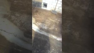 Жидкое стекло смыло водой.